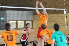 Deutsch-Polnischer Austausch und Volleyballturnier